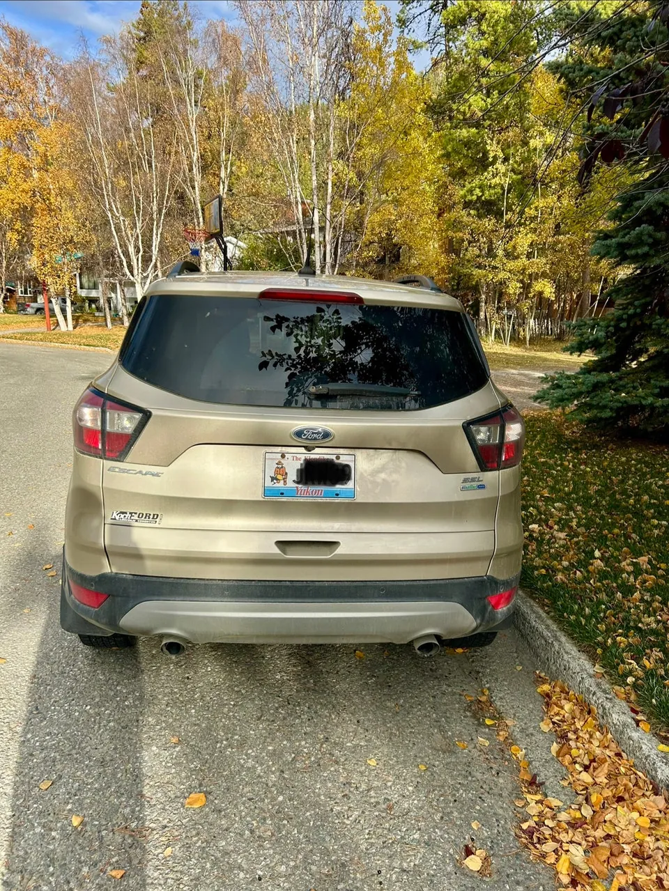 Ford Escape 2018 photo 3