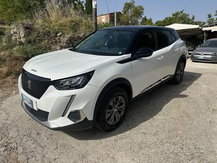 Peugeot 2008 2020 photo 2