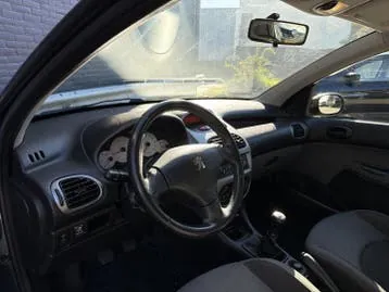 Peugeot 206 2009 photo 3