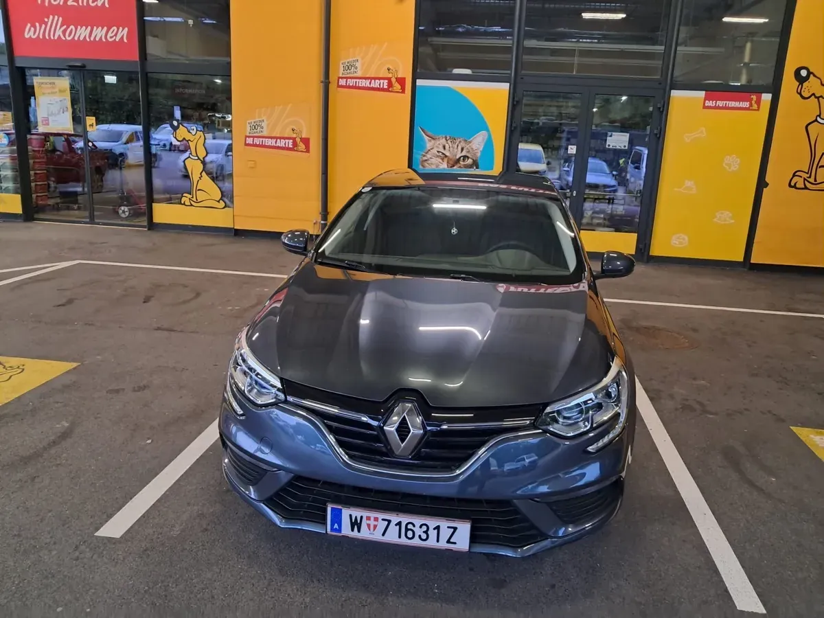 Renault Megane 2019 photo 3