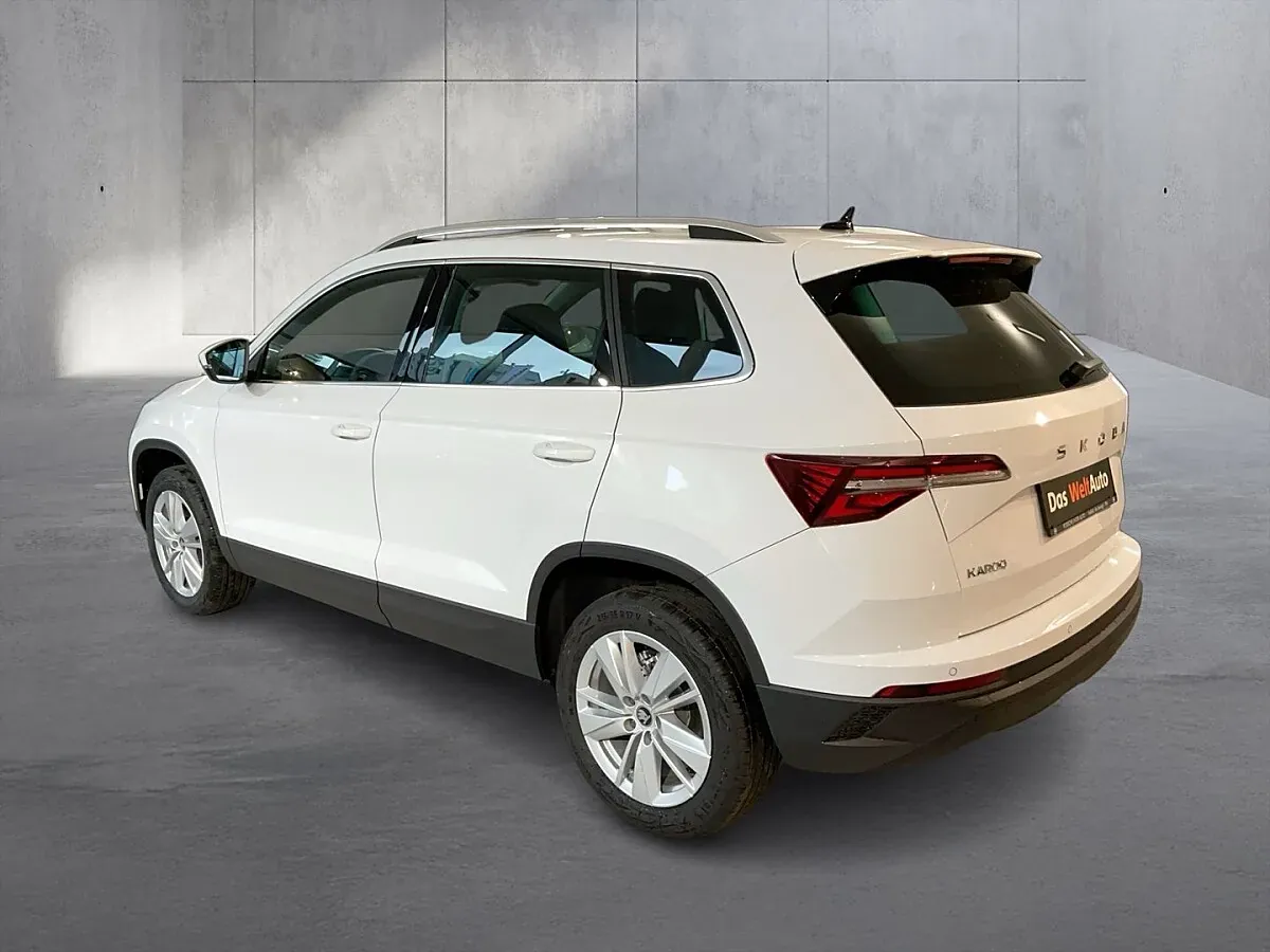 Skoda Karoq 2026 photo 3