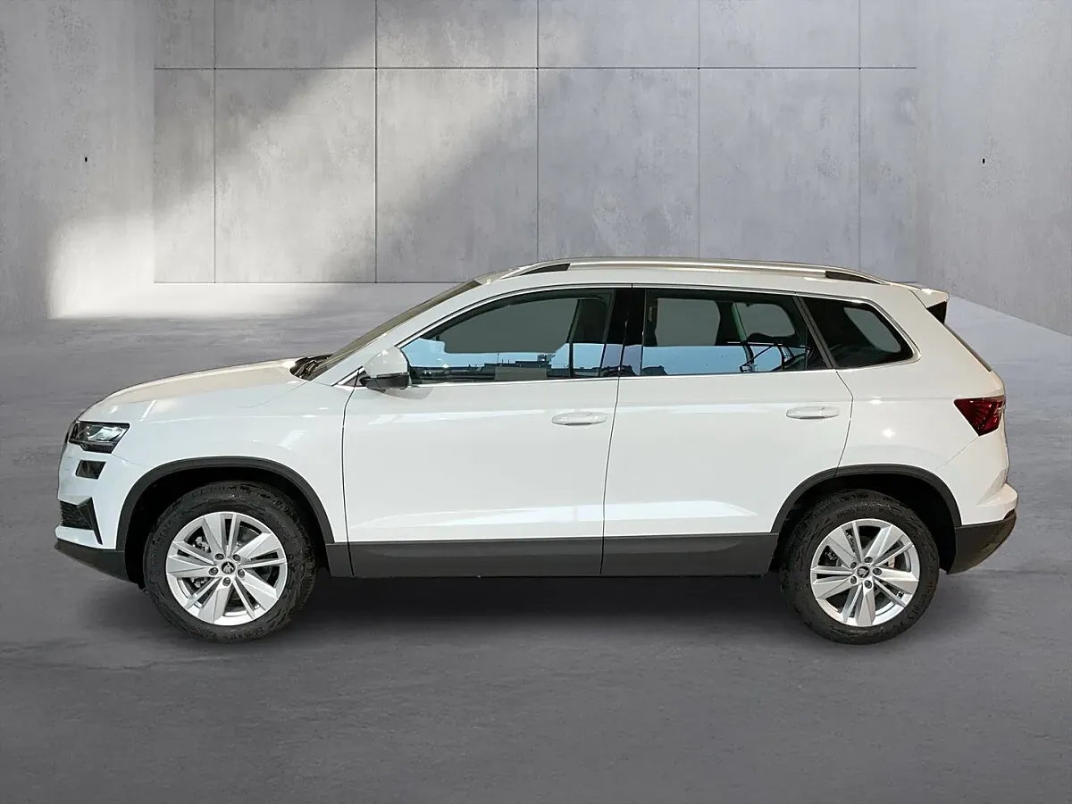 Skoda Karoq 2026 photo 2