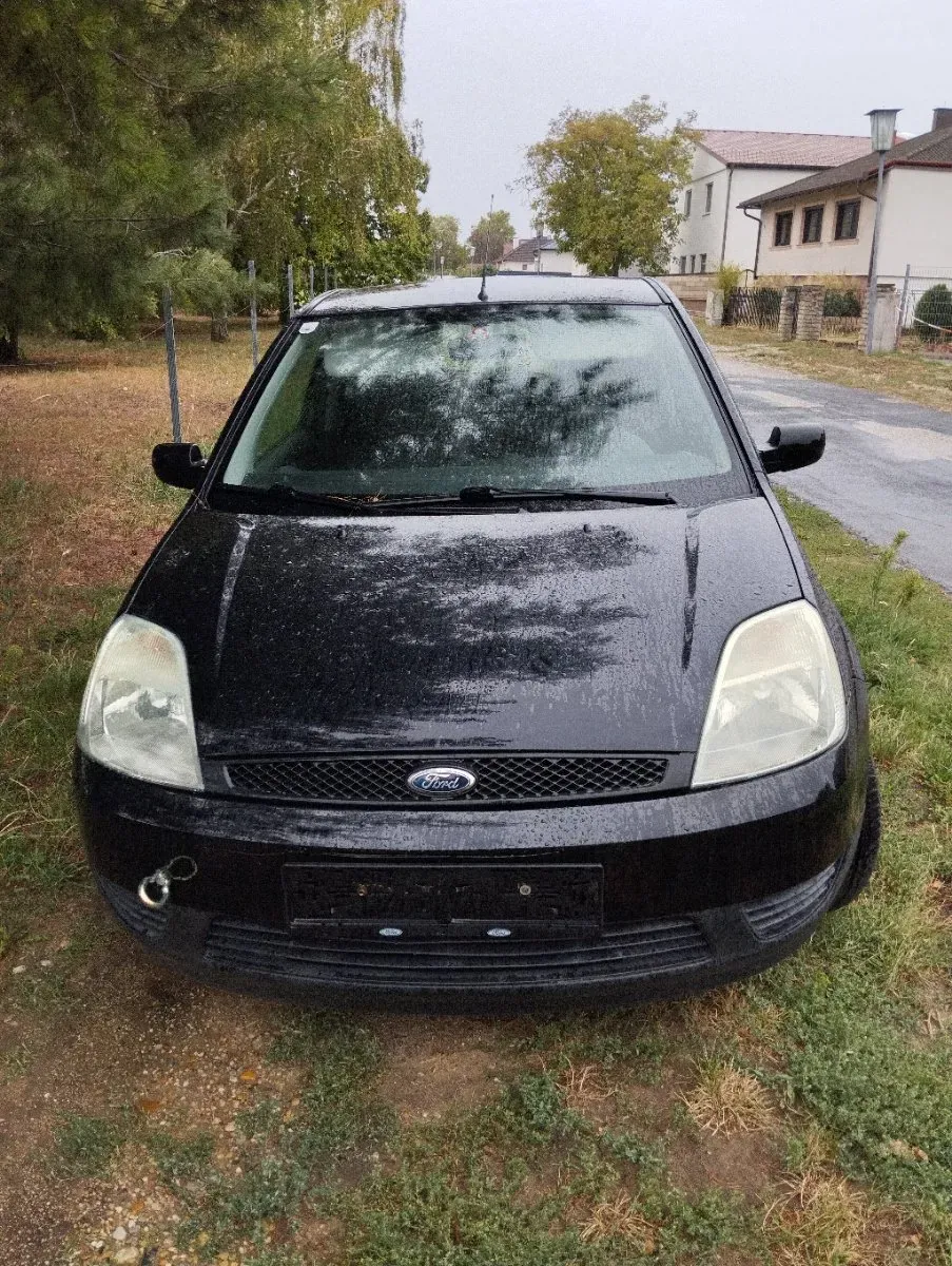 Ford Fiesta 2004 photo 2
