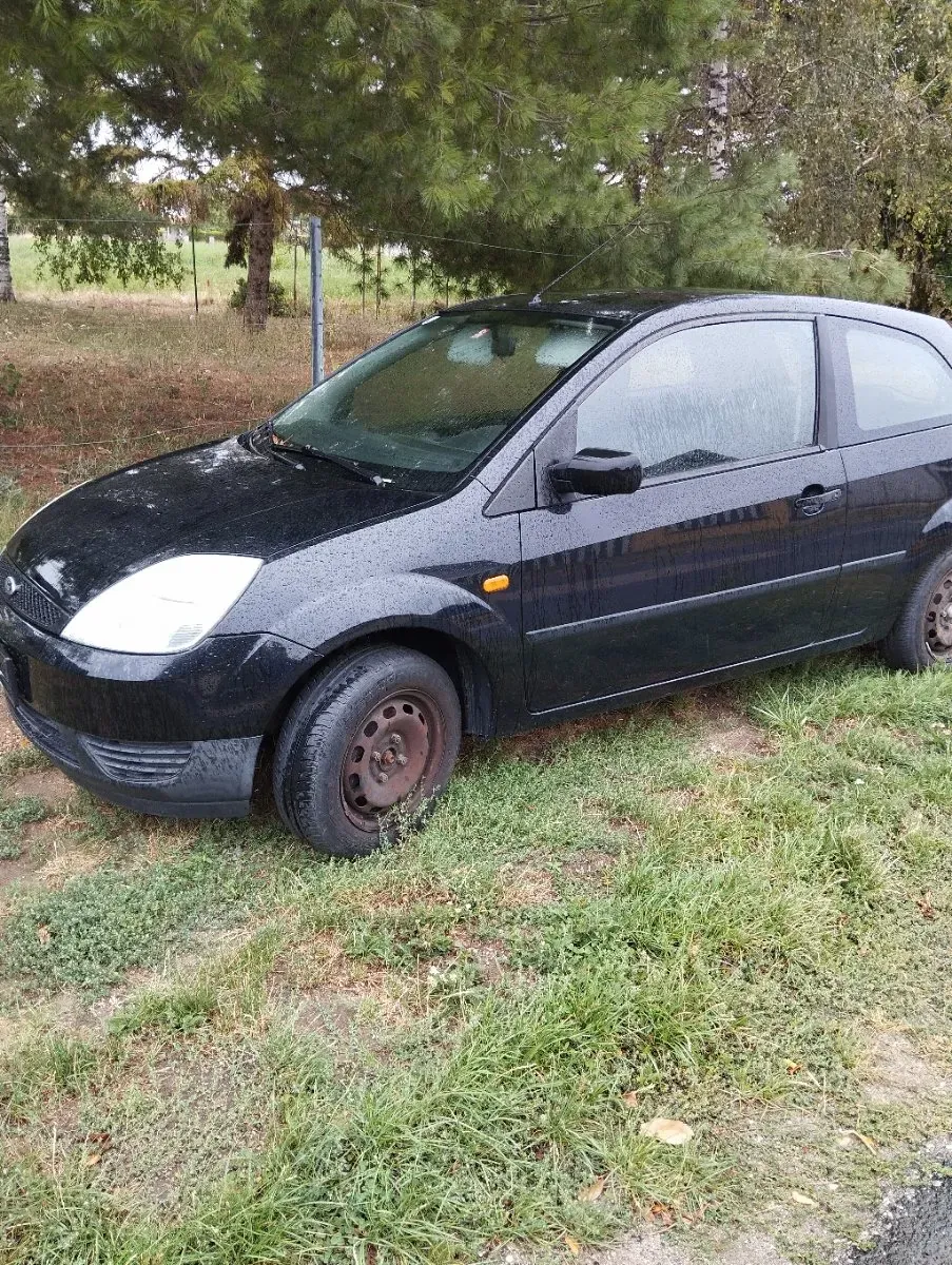 Ford Fiesta 2004 photo 3