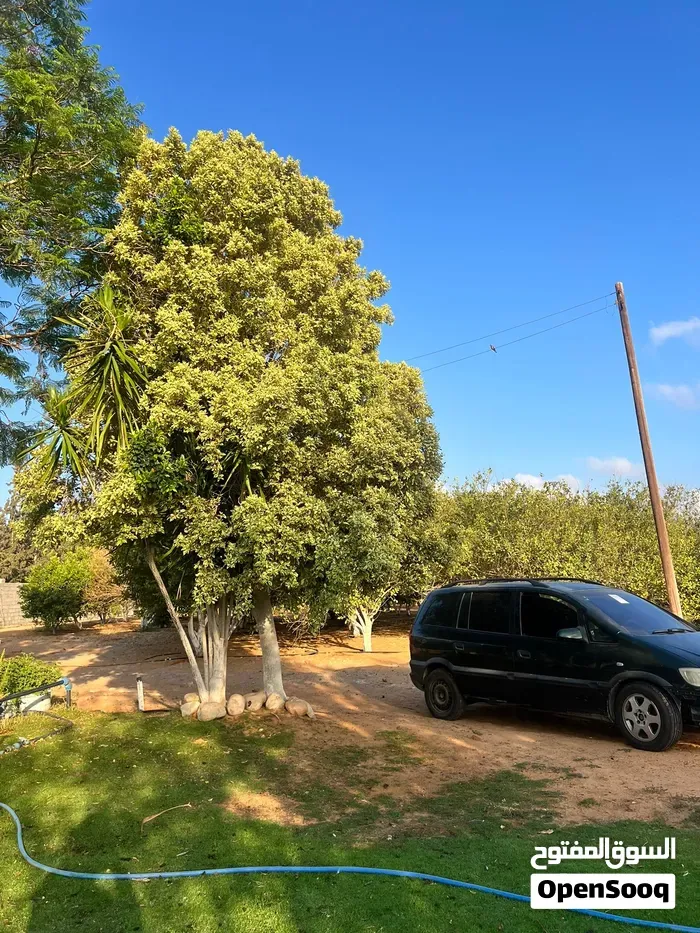 Opel Zafira 2007 photo 2