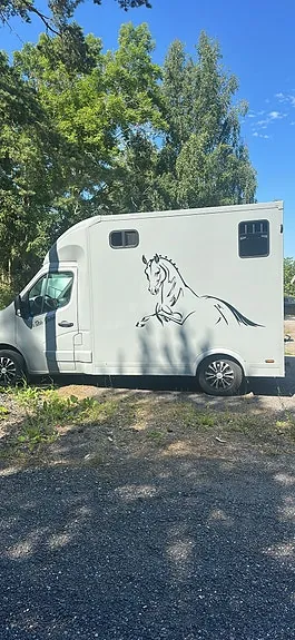 Renault Master 2011 photo 4