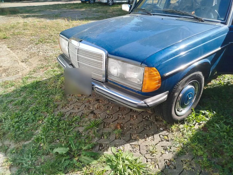Mercedes-Benz W123