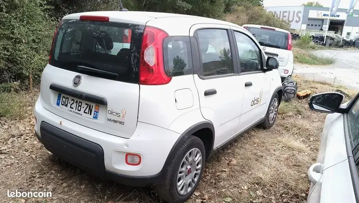 Fiat Panda 2023 photo 2