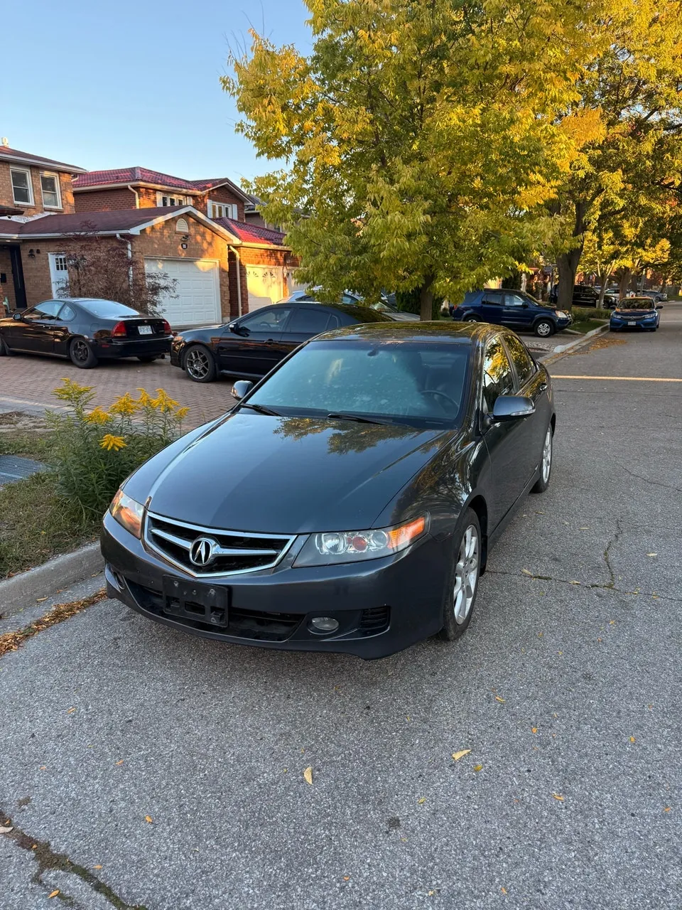 Acura Tsx