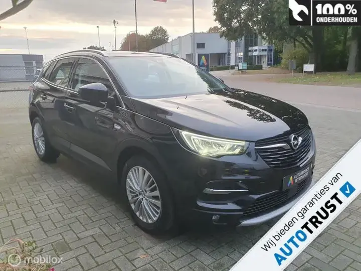 Opel Grandland X 2020 photo 2