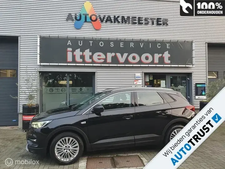 Opel Grandland X 2020 photo 3