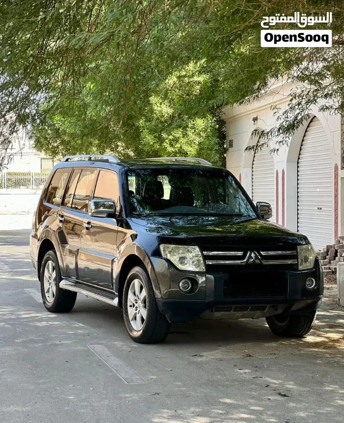 Mitsubishi Pajero 2008 photo 3