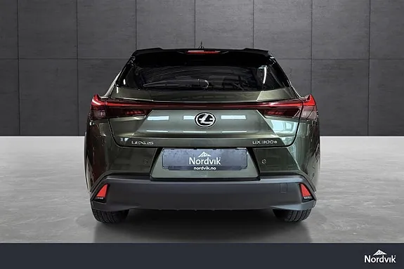 Lexus Ux300E 2025 photo 5