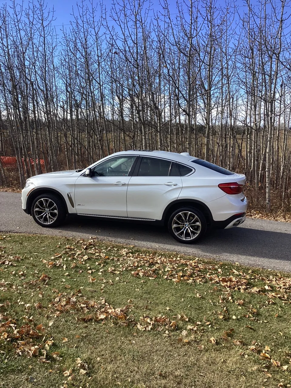 BMW X6 2015 photo 2