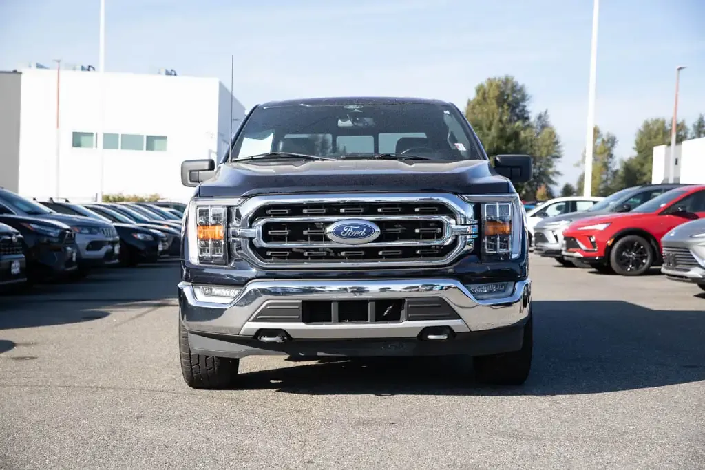 Ford F-150 2021 photo 2