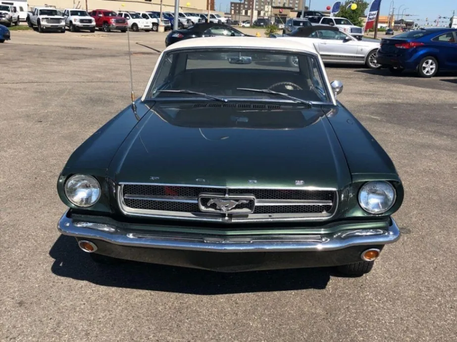 Ford Mustang 1965 photo 3