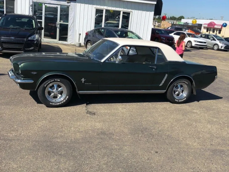 Ford Mustang 1965 photo 2