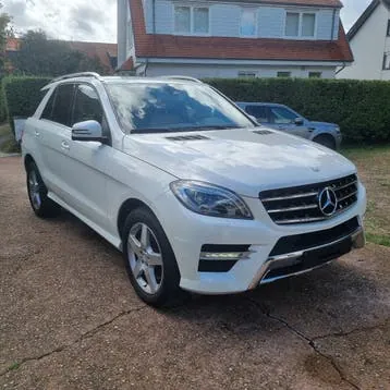 Mercedes-Benz Ml 250 2013 photo 2