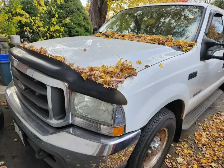 Ford F350