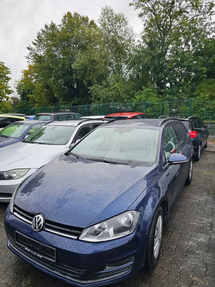 Volkswagen Golf Vii