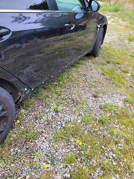 Mazda 6 2011 photo 3