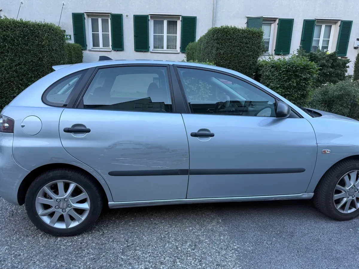Seat Ibiza 2008 photo 2