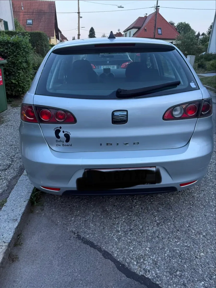 Seat Ibiza 2008 photo 3