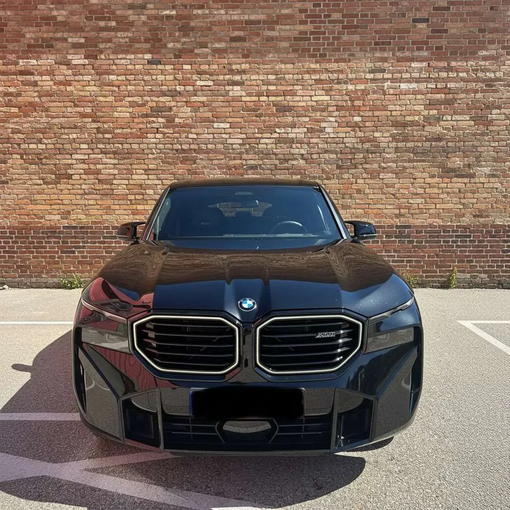 BMW Xm