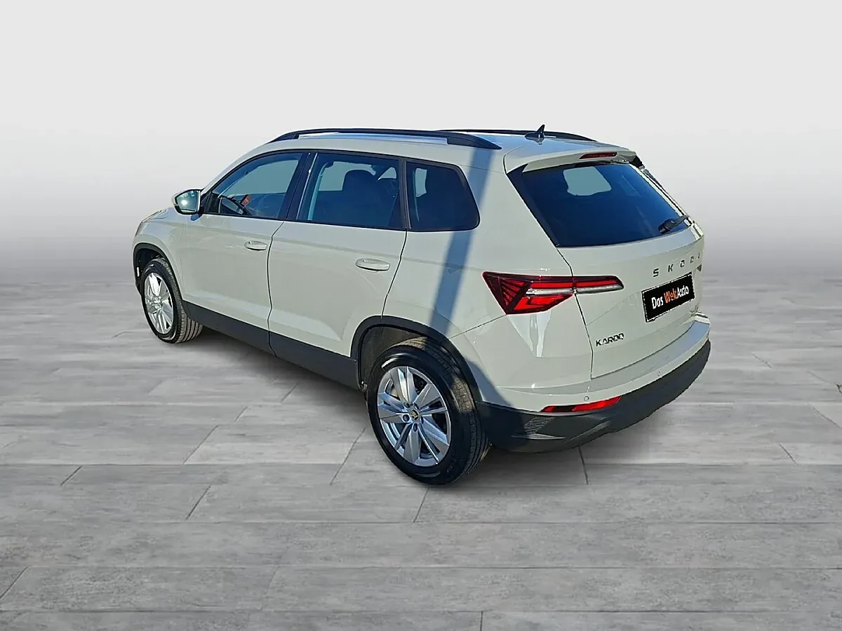 Skoda Karoq 2024 photo 3