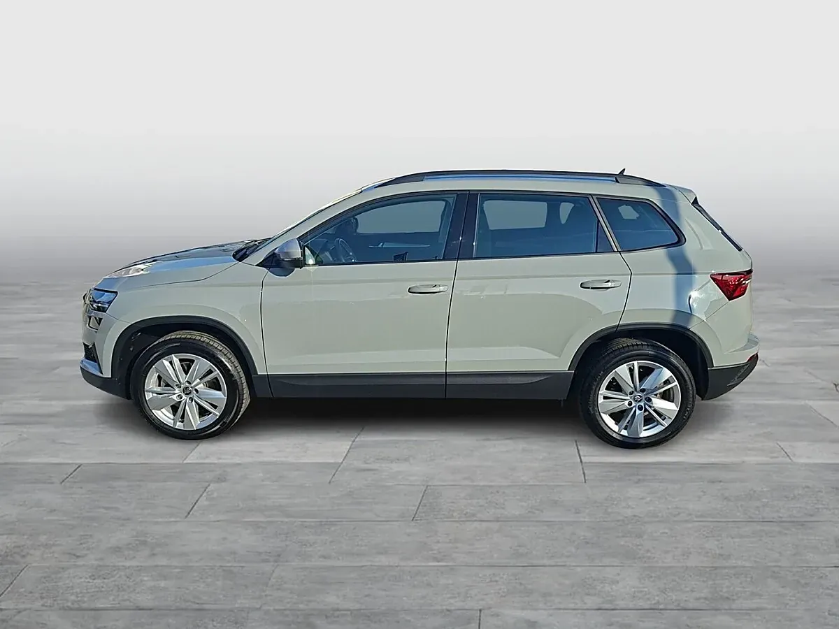 Skoda Karoq 2024 photo 2