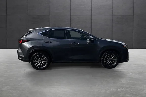 Lexus Nx450H+ 2024 photo 3