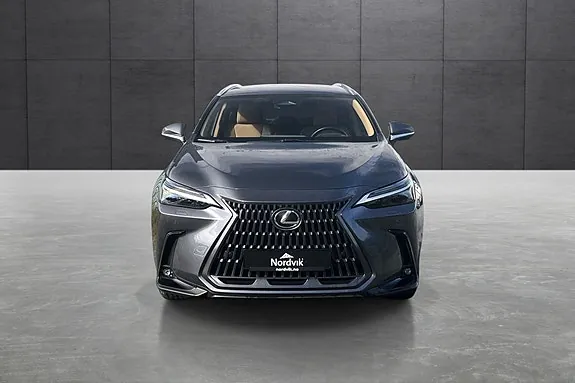 Lexus Nx450H+ 2024 photo 2