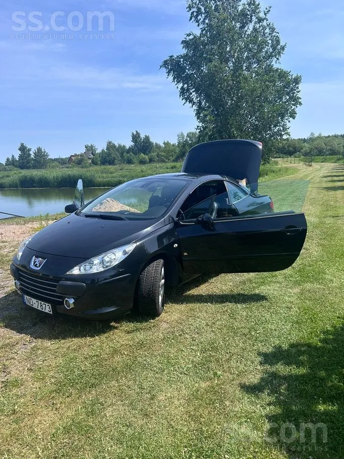 Peugeot 307 2007 photo 2