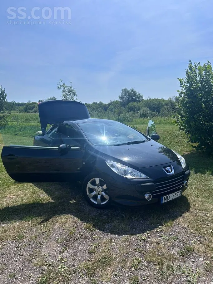 Peugeot 307 2007 photo 3