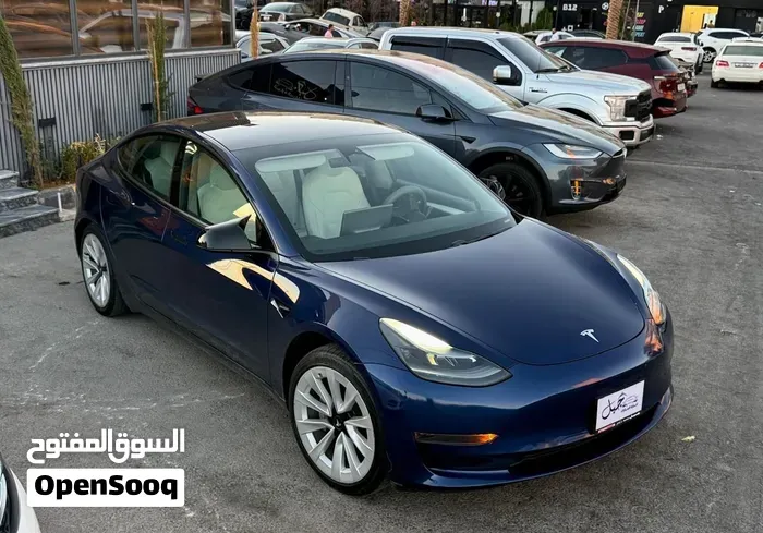 Tesla Model 3 2021 photo 2