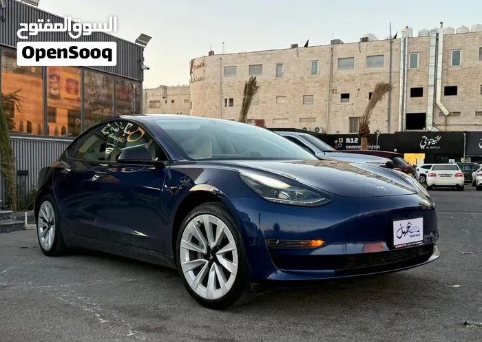 Tesla Model 3 2021 photo 4