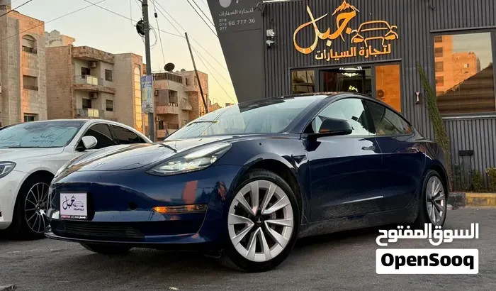 Tesla Model 3 2021 photo 3