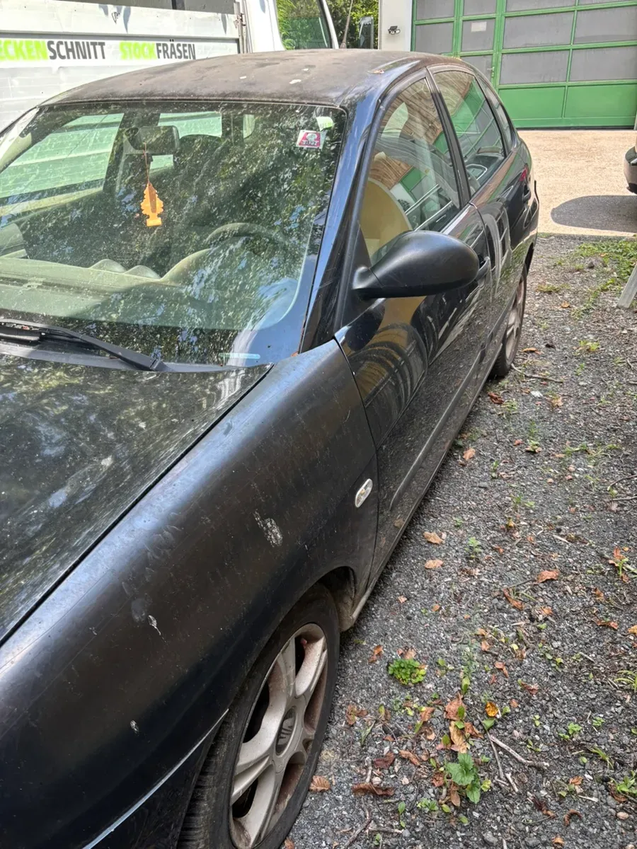 Seat Ibiza 2003 photo 3