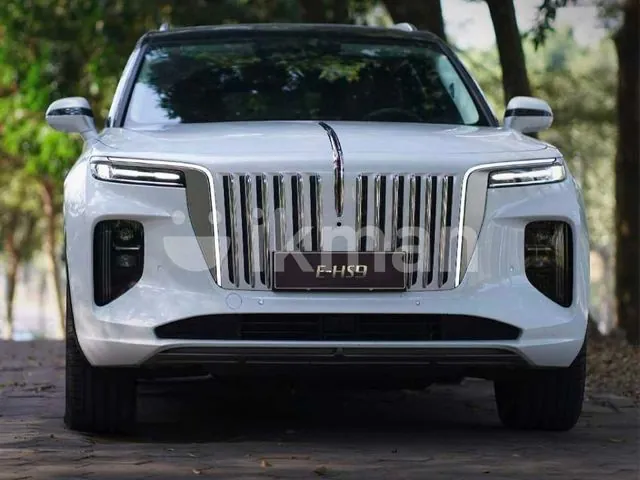 Hongqi E-Hs9