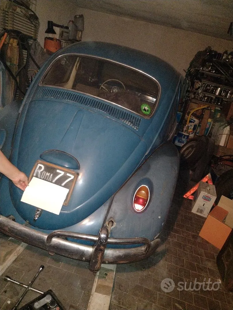 Volkswagen Maggiolino