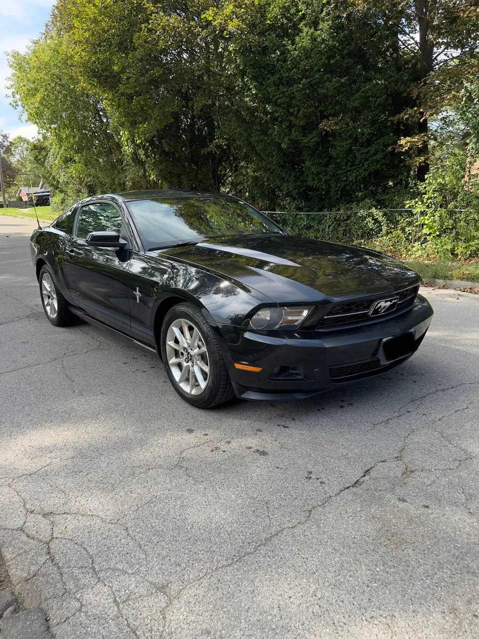 Ford Mustang 2011 photo 2