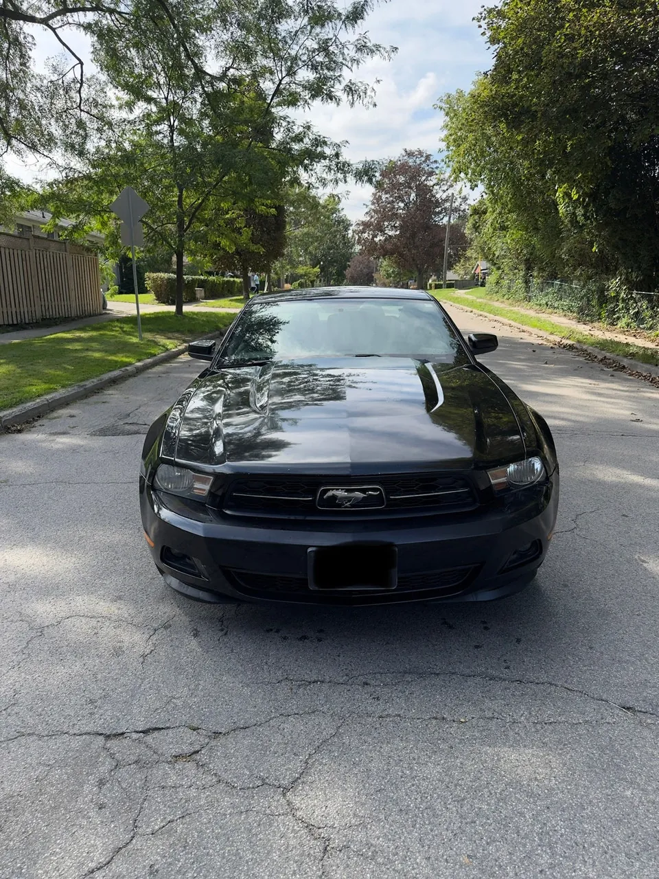Ford Mustang 2011 photo 3