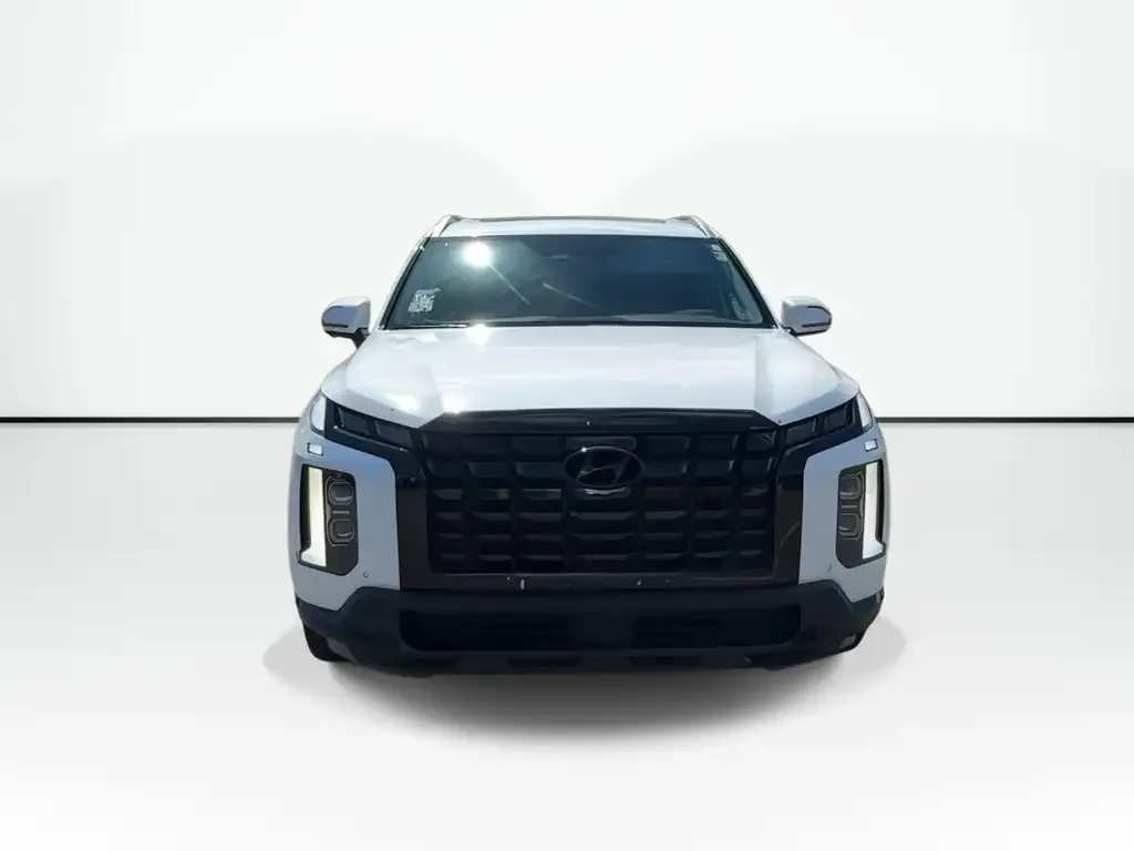 Hyundai Palisade 2023 photo 3