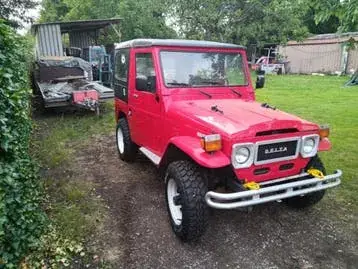 Toyota Delta Mini Cruiser