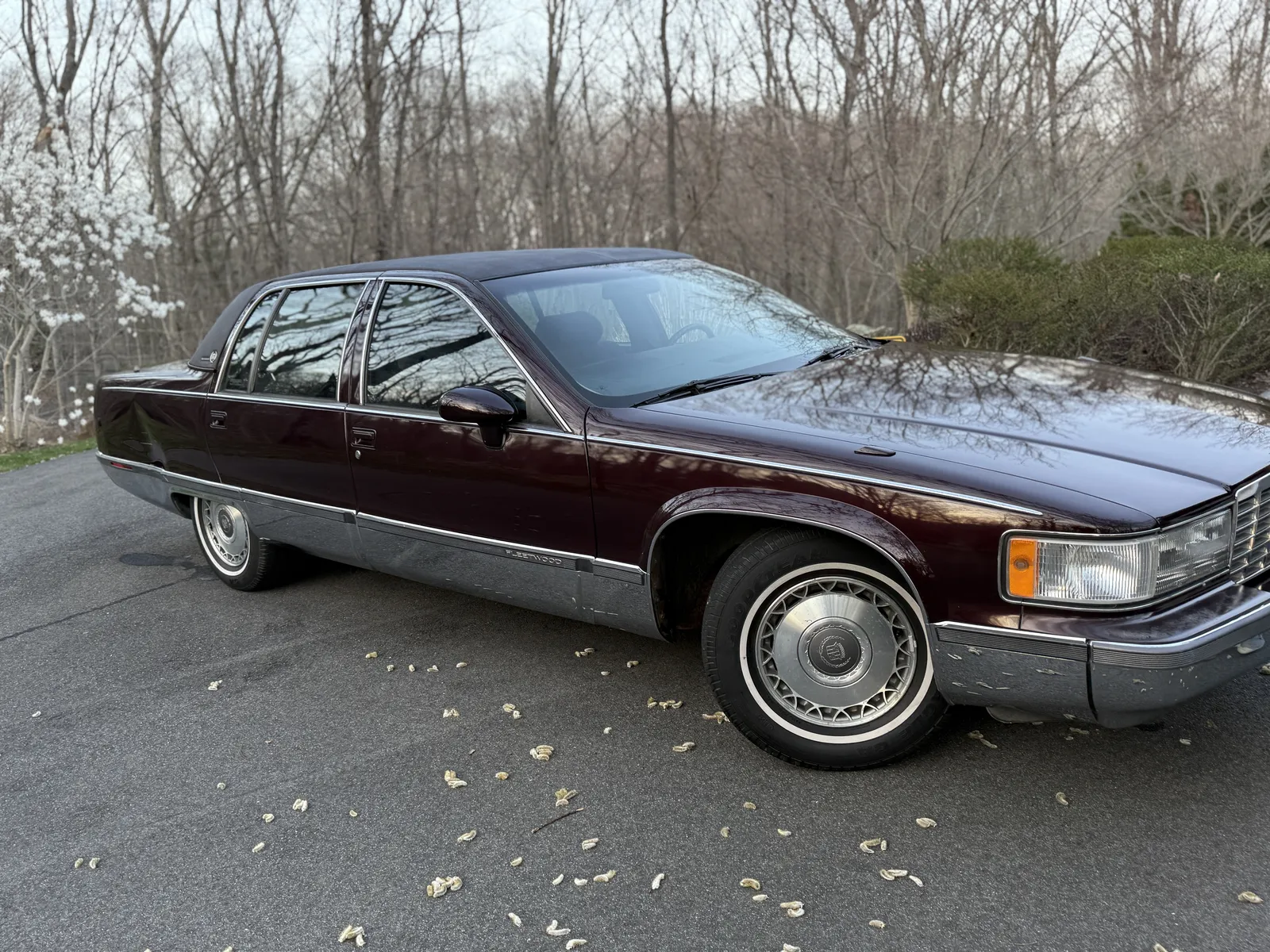 Cadillac Fleetwood