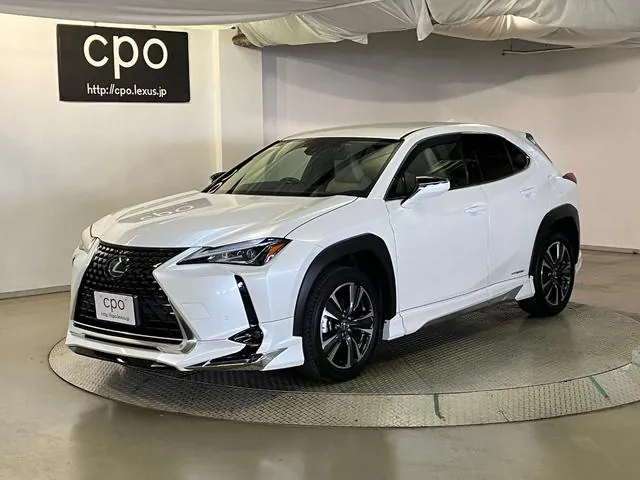 Lexus Ux 2020 photo 3