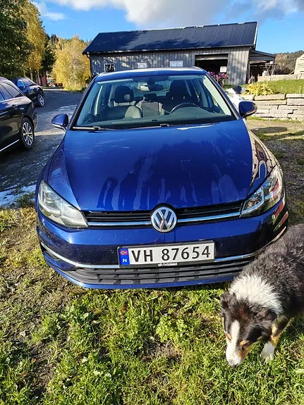 Volkswagen Golf Vii 2017 photo 4