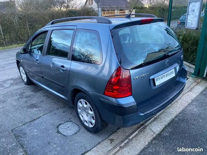 Peugeot 307 2007 photo 3