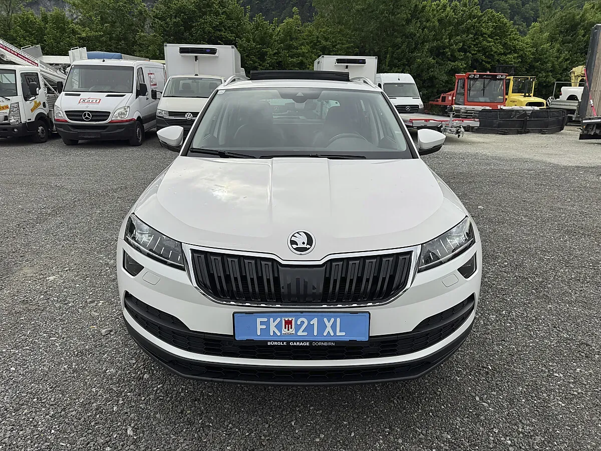 Skoda Karoq 2017 photo 2