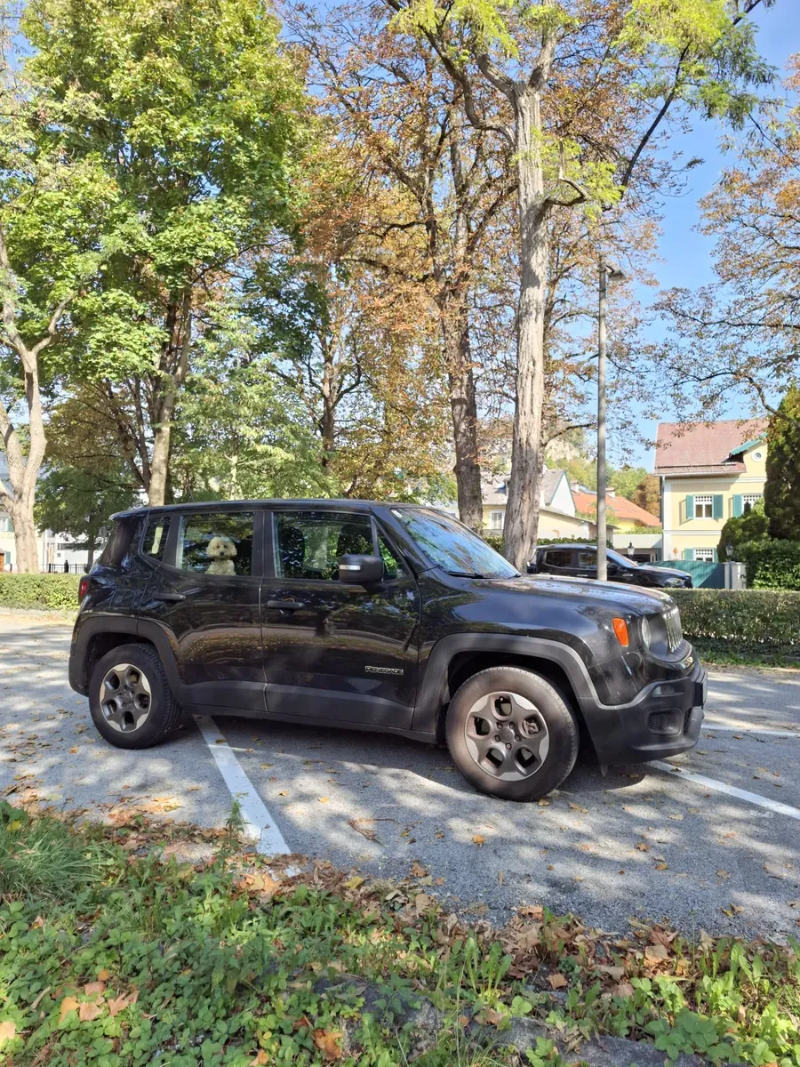 Jeep Renegade 2016 photo 3